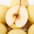 Wholesale高品質の黄色い新鮮な淡い梨